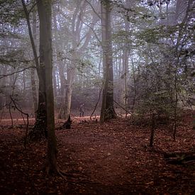 lone walker by Menno Janzen