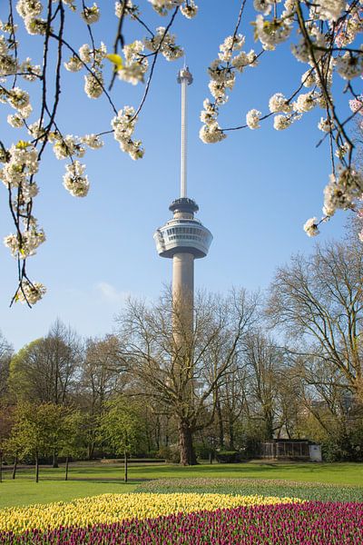 Le printemps à l'Euromast de Rotterdam par Charlene van Koesveld