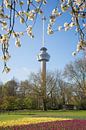 Le printemps à l'Euromast de Rotterdam par Charlene van Koesveld Aperçu