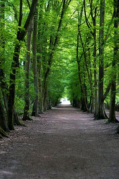 Het groene pad van Veronique Staskowiak