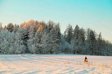 Winterrit door de Frosted Pines van Inspiration