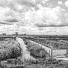Polder in Hoeksche Waard sur Wessel Krul