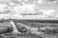 Polder in Hoeksche Waard