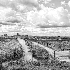 Polder in Hoeksche Waard van Wessel Krul