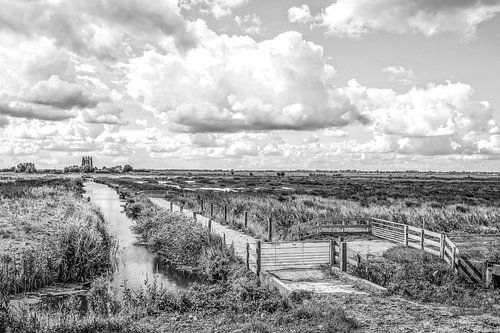 Polder in Hoeksche Waard