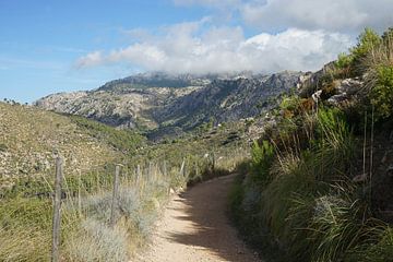 Ruta de pedra en sec GR 221 - Mallorca sur Andreas Wemmje
