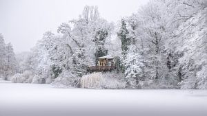 Vogelinsel in Deventer im ersten Winterschnee.