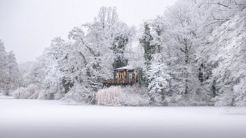 Vogeleiland in Deventer in de eerste Winter sneeuw. van Bart Ros