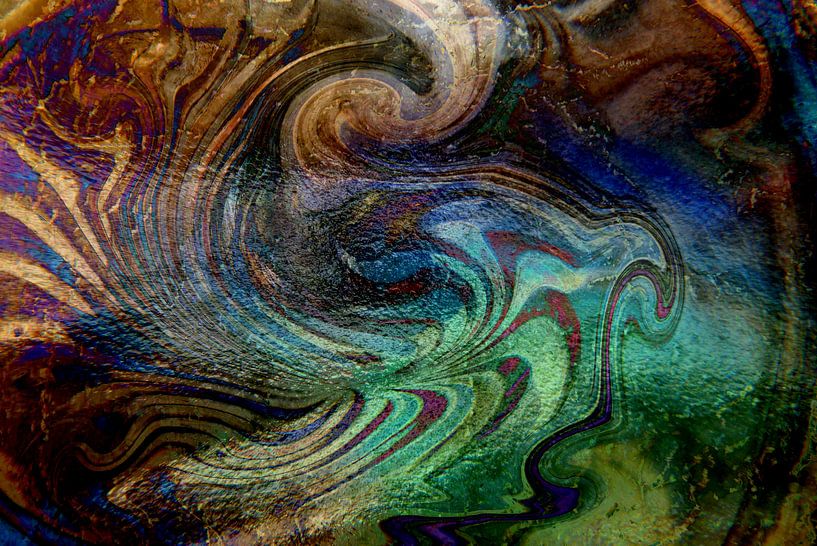 de lira ire von Heidrun Carola Herrmann