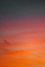 multicolore... sur Debby Bierman