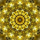 Golden Circle van Frans Blok thumbnail
