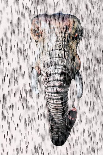 Elefanten Gesicht im Regen mixed media