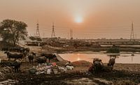 Pakistan | Ravi River