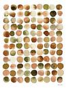 Natuurlijk abstract i, Laura Horn van Wild Apple thumbnail