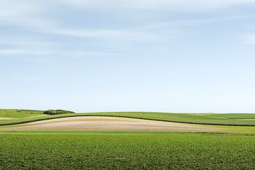 La colline sur Claire van Dun