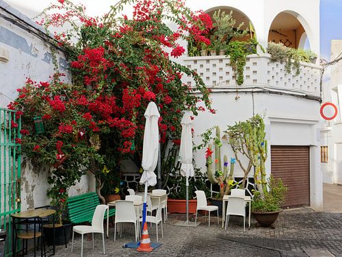 Gezellig hoekje met bougainvillea in Arrecife - Lanzarote van Gisela Scheffbuch