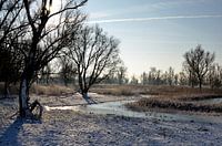 Oosvaardersplassen in de winter.