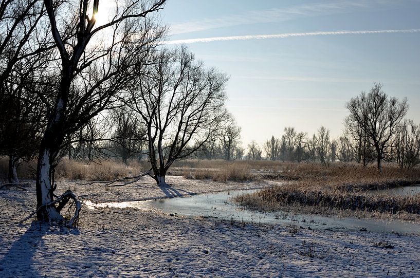 Oosvaardersplassen in de winter. van Frank de Ridder