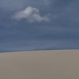Dune mobile sur Hans Lok