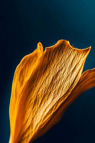 Petal in goud