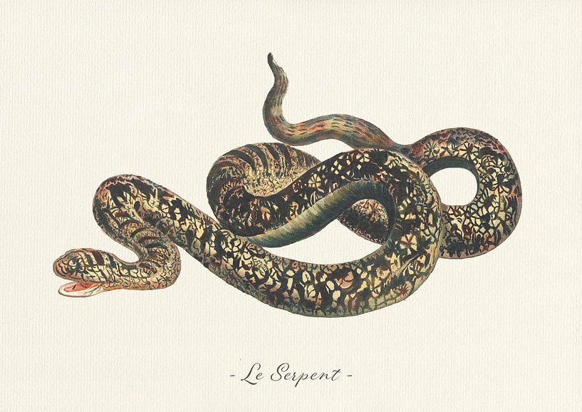 Le Serpent van Walljar