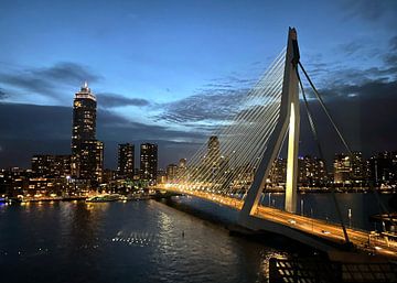 Rotterdam, veerkracht aan de Maas van Studio Ypie