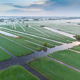 Morgens auf dem Polder. von Abe Maaijen