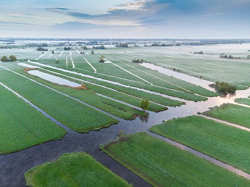 Ochtend over de polder. van Abe Maaijen