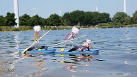 Fubby macht einen Paddleboard-Wettbewerb. von Sailographic Paula