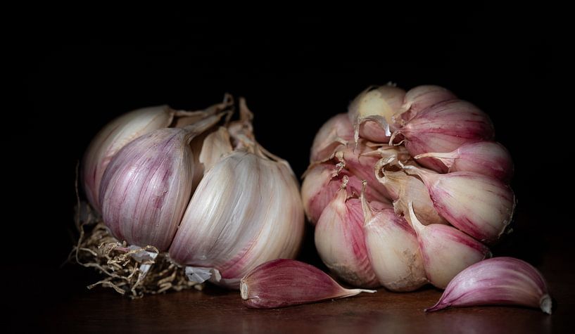 Ail violet sur fond sombre par Ulrike Leone