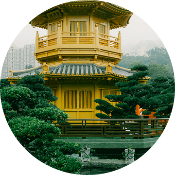 Harmonie van tegenstellingen: Gouden paviljoen in de tuin van Hongkong