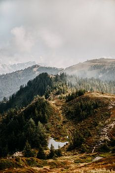 Uitzicht boven op de berg in Zell am See, Oostenrijk (Alpen)