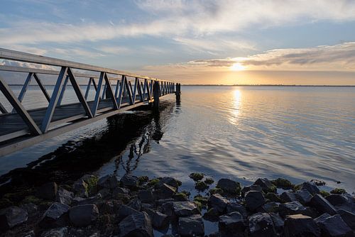 Duiksteiger Grevelingenmeer