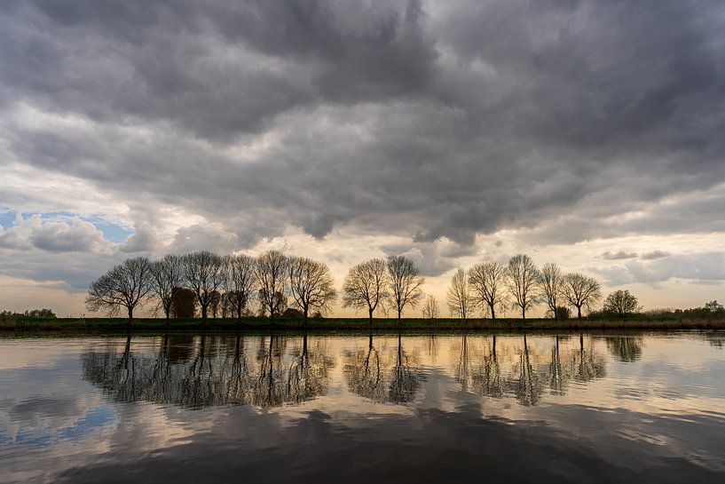 Bomen langs het Gat ven den Ham randje Biesbosch van Eugene Winthagen