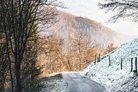 Nature by Meike Huibers thumbnail