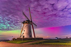Northern lights above the Biggekerke corn mill by Miranda de Vries - Arentse