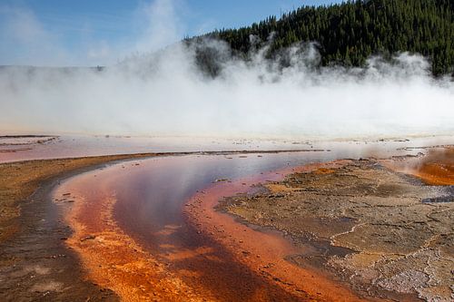 Yellowstone National park
