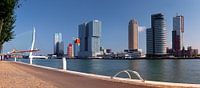 Rotterdam skyline panorama view on the Maas 'Kop van Zuid'