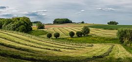 The hills of the Pajottenland by Werner Lerooy