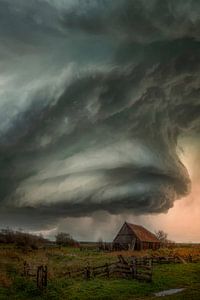 Armageddon at Texel sur Roelie Steinmann