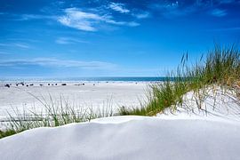 Amrum sur Reiner Würz / RWFotoArt