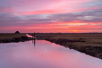 Spectaculaire zonsopkomst boven het Wormer en Jisperveld vanuit Oostknollendam van Bram Lubbers