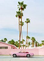 Roze Palm Springs