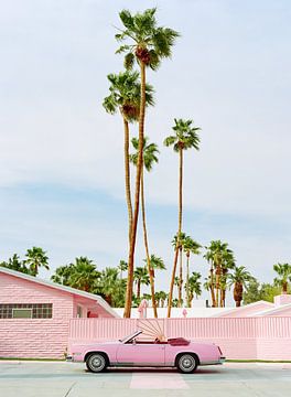 Rosa Palm Springs von Bethany Young Photography