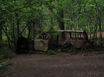 Autowrak in het bos bij Ryd 2 van Helene Ketzer