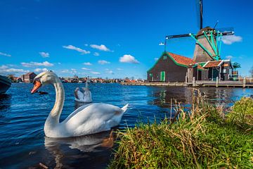De Zwaanse Schans