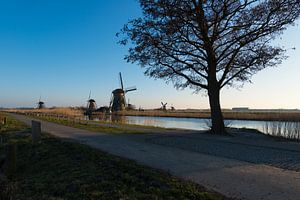 Kinderdijk