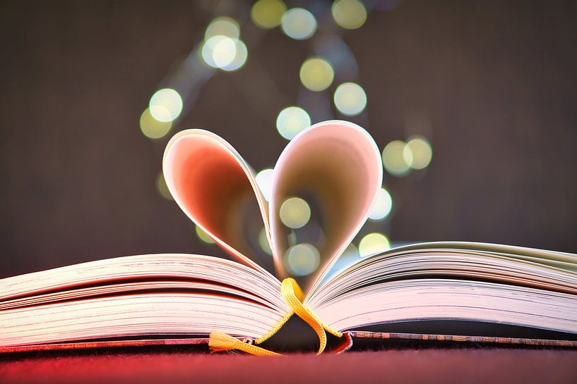 Opengeslagen boek met bladzijden, tot op het hart geslagen van Martin Köbsch