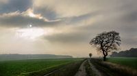track across the fields