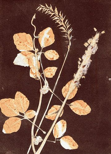 Botanische Bladeren Bruin Oker